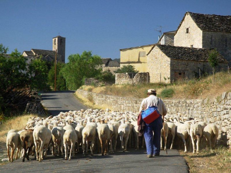 Secrets of the Pre-Pyrenees 